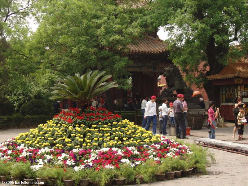 Flowers in courtyard of the Lama Temple (Yonghe Lamasery) in Beijing, China