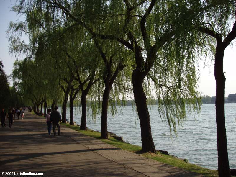 Willows line a walkway on the shore of Kunming Lake in Beijing's Summer Palace