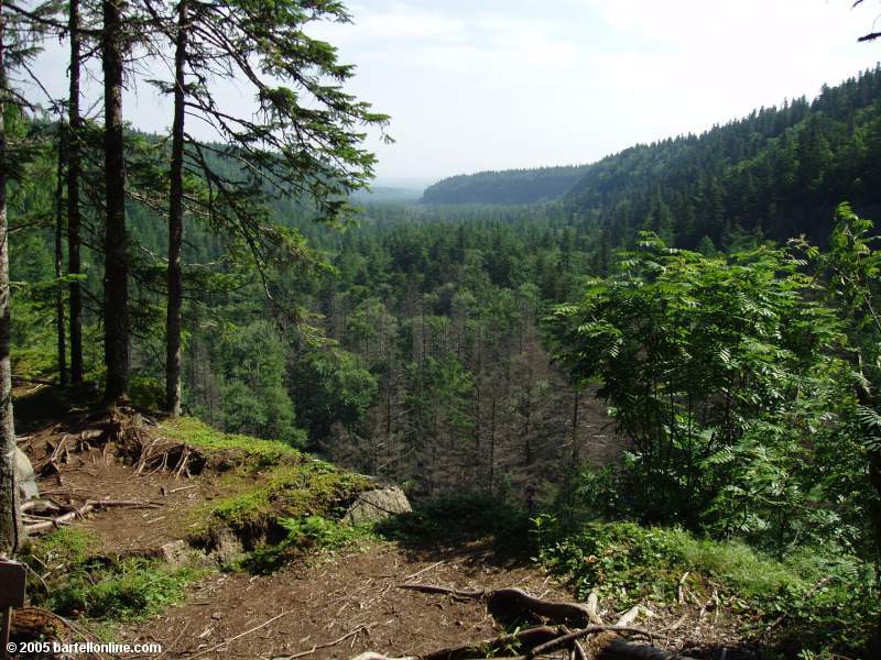 Abrupt dropoff above the Underground Forest in the Changbaishan Nature Preserve in Jilin, China