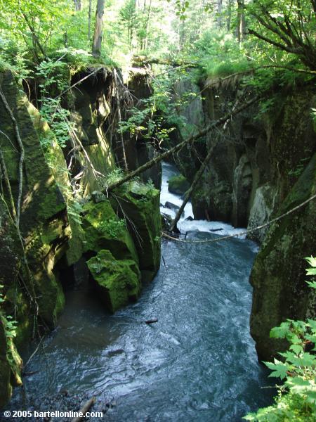 Small gorge near the Underground Forest in the Changbaishan Nature Preserve in Jilin, China