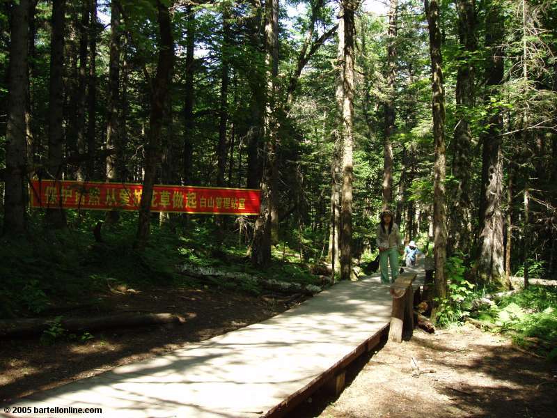 Boardwalk leading to the Underground Forest in the Changbaishan Nature Preserve in Jilin, China