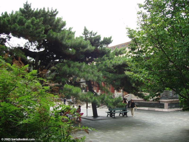 A courtyard in the Qing Imperial Palace in Shenyang, Liaoning, China