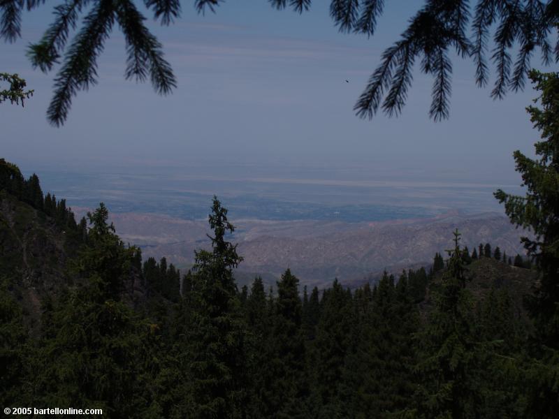 View through the trees to the desert from a hill above Tianchi Lake in Xinjiang province, China