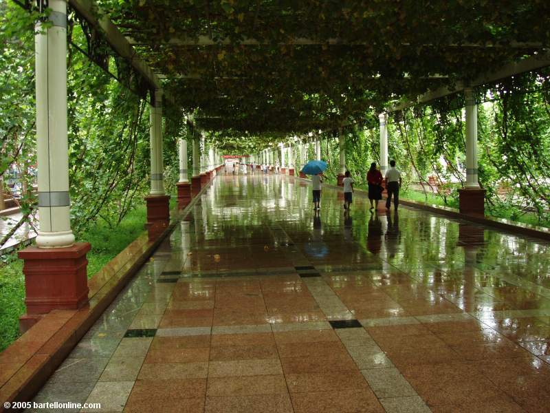 View along the grape-covered pedestrian street in Turpan, Xinjiang, China