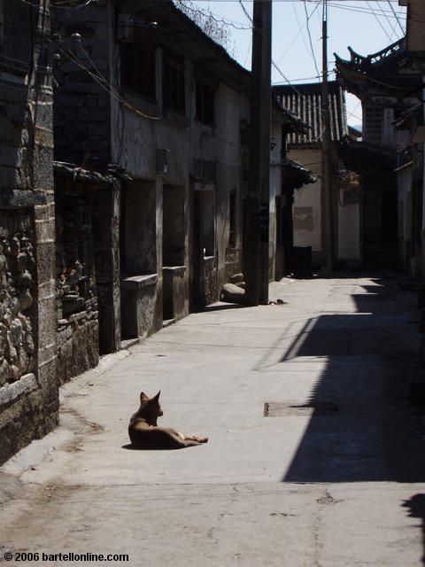 A dog relaxes in a quiet alley near the Three Pagodas outside Dali, Yunnan, China