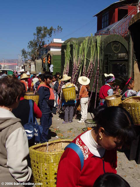 Sugar cane and fruits for sale at the Youshuo market in Yunnan province, China