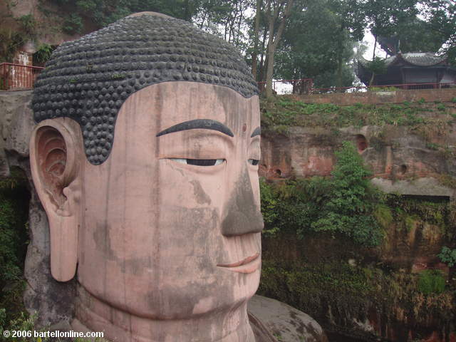 Head of the Giant Buddha in Leshan, Sichuan, China