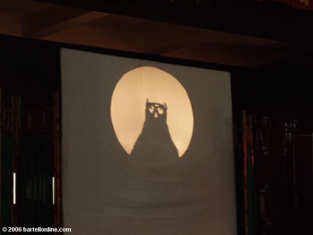 Shadow puppet owl at a Sichuan Opera performance in Chengdu, China