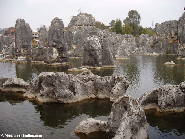 Limestone karsts protrude from a small lake at the Stone Forest near Kunming, Yunnan, China