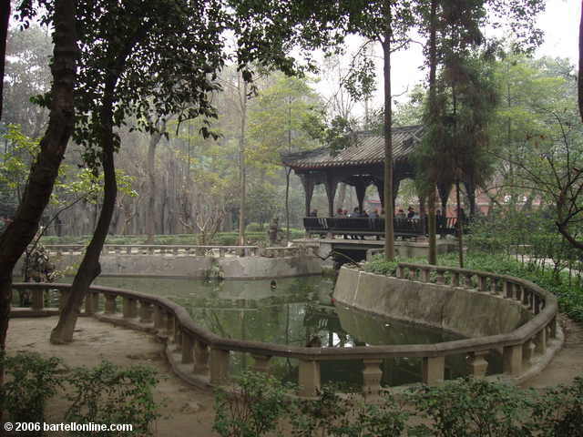 Garden at Wenshu monastery in Chengdu, Sichuan, China